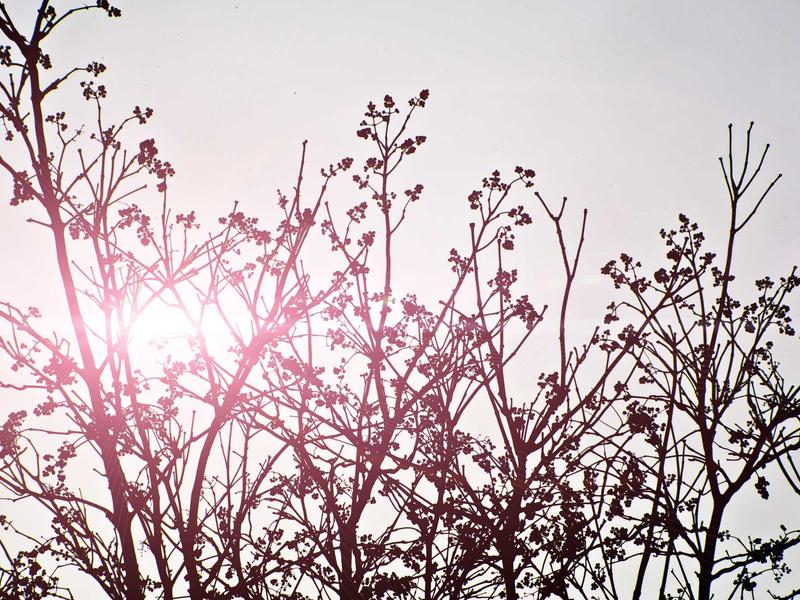 sudoku easy screenshot 2