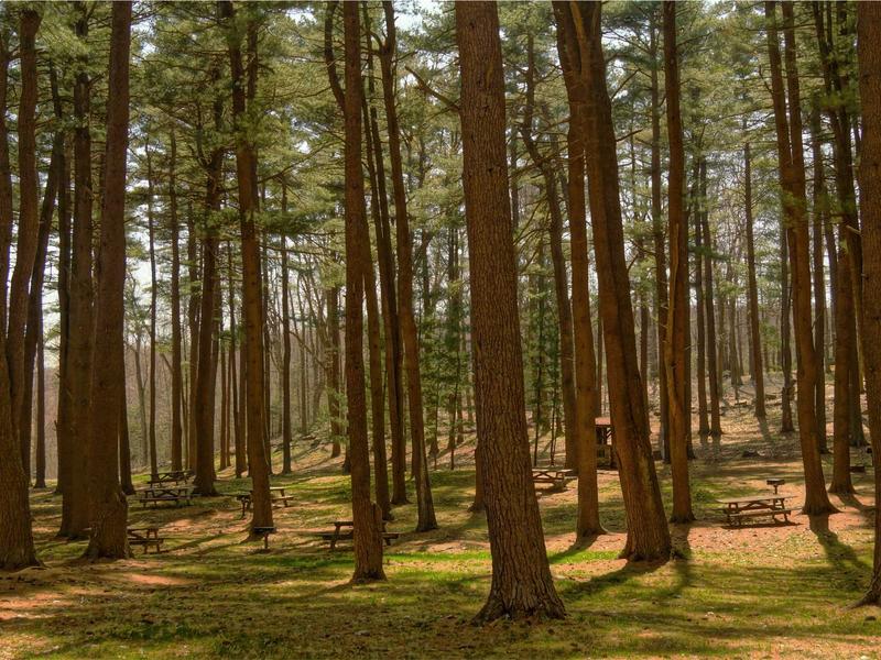 sudoku smart highlighting screenshot 5